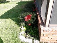 20200925_100954.jpg