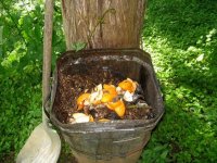 Kitchen waste 2020.jpg