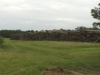 IMG_2314.JPG