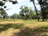 IMG_0827.jpg