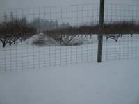IMG_0174.JPG