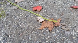 20201021_151300.jpg