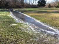 IMG_2483[1].JPG