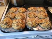 IMG_2575[1].JPG