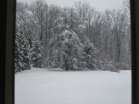 IMG_0185.JPG