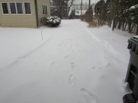 IMG_0023.JPG