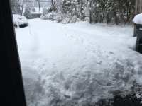IMG_2592[1].JPG