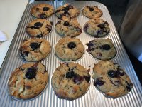 IMG_2602[1].JPG