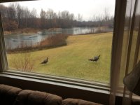 IMG_1183.JPG