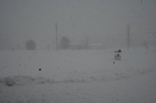 IMG_3177.JPG