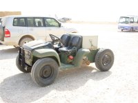 Combat Gator Resized.JPG