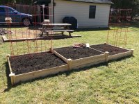 IMG_2620[1].JPG