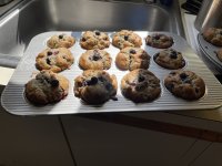 IMG_0004[1].JPG
