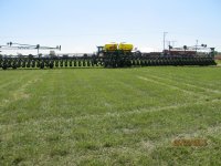 planter 005.jpg