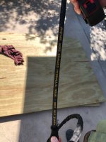 IMG_8381.jpeg