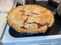 IMG_0087 (1).JPG