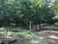 garden before.jpg