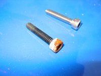 319887-Screw1.JPG