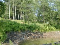 33-176600-newpond2.jpg