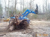 33-120670-Bigger_Stump.jpg