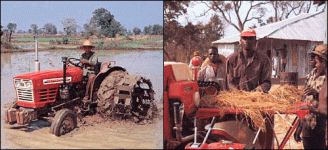 272534-tractorIMAGE2.gif