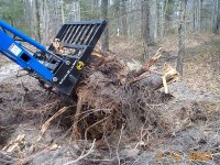 33-120673-Stump_Removal_2.jpg