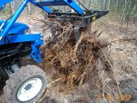 33-120674-Stump_Removal_3.jpg