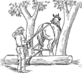 12-51431-Log.gif