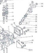 273031-inj_chamsm.jpg