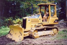 321259-dgcat1.JPG
