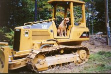 321260-dgcat2.JPG