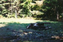 321273-project6.JPG