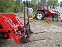 2-177908-Trucktreeloaderforksarmsup.JPG