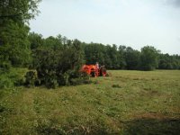 33-178220-mowed-field2.jpg