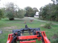 IMG_0280  Sneaking up on deer with grapple (600 x 450).jpg