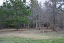 BackyardVeiw.jpg