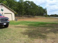grass1.JPG