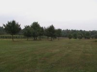yardview.JPG