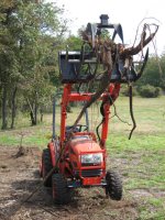 IMG_0192 after stump2.JPG