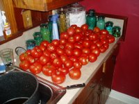 06tomato2.JPG