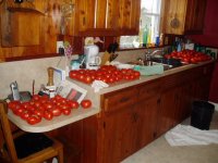 06tomato1.JPG