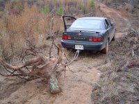 12-5 pulling (Large).JPG