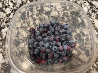 20210614 Nlueberries 2.JPG