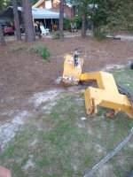 IMG_20210615_191001256.jpg