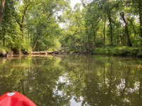 20210801 Sugar Creek 2.JPG
