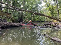 20210801 Sugar Creek 3.JPG
