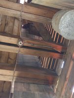 IMG_20210815_131246187.jpg