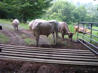 It Works! (Large).JPG