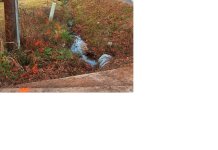 894898-Ditch two.JPG