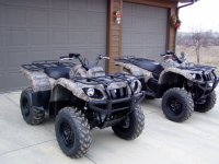 Grizzlys_640x480.jpg